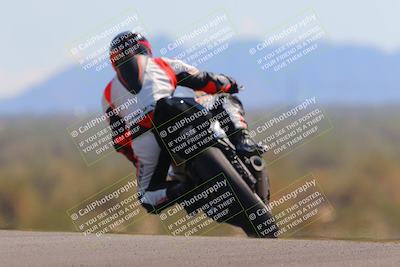 media/Oct-09-2022-SoCal Trackdays (Sun) [[95640aeeb6]]/Turn 9 Backside (120pm)/